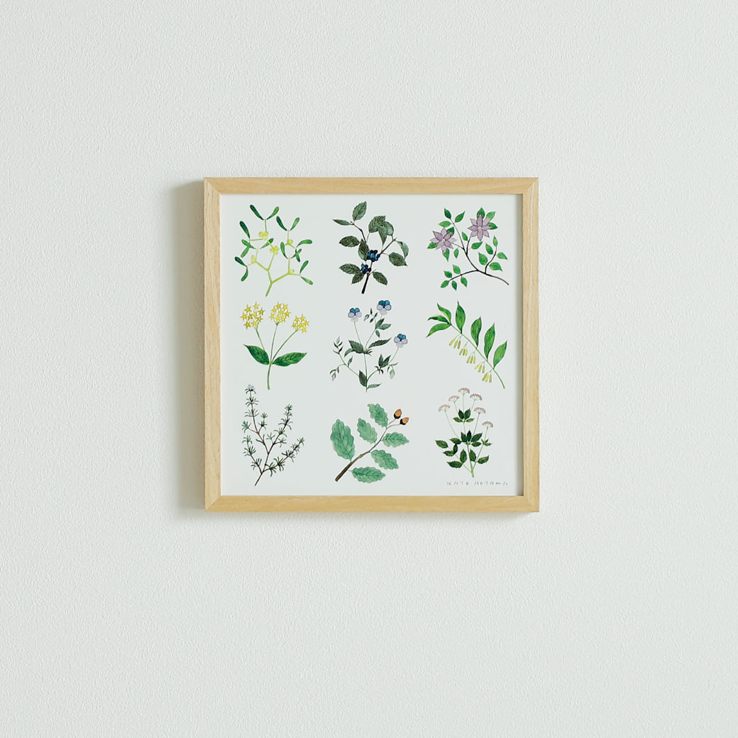 m - po14 アートポスター a good view PLANTS フレームセット 青山佳世 - miion|北欧ナチュラルモダン家具・インテリア通販 miion(ミオン)