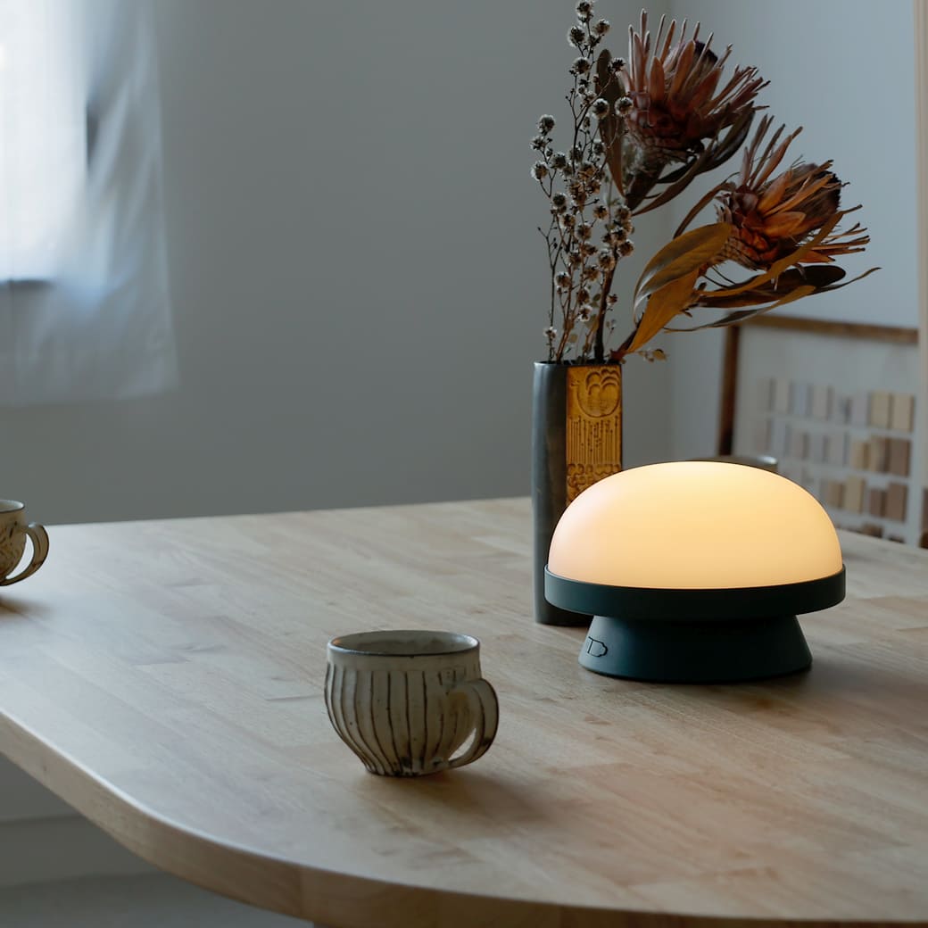 m-tl06 ROSENDAHL / ソフトスポット ソーラー ドッツ (フォレストグリーン) 直径21cm