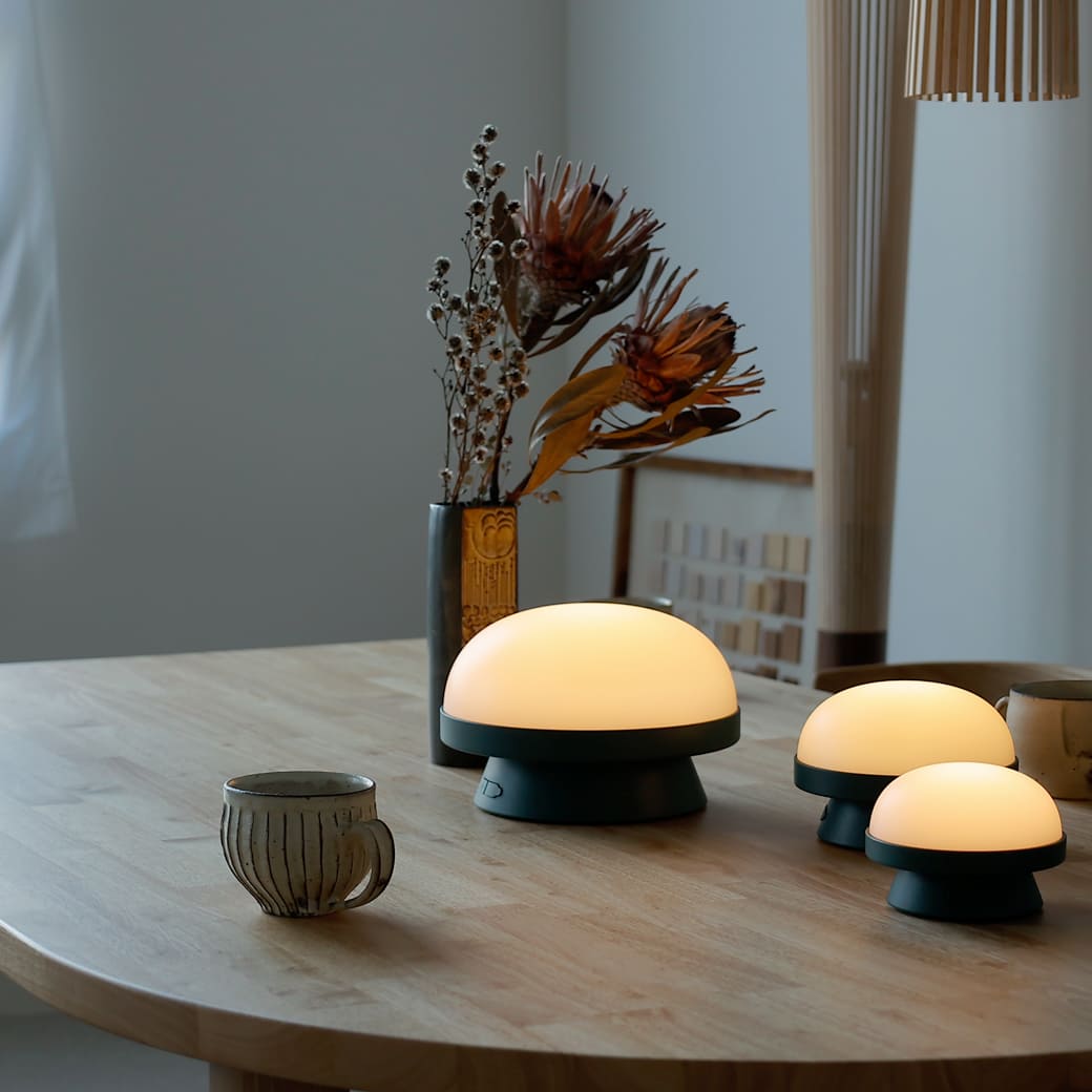 m-tl05 ROSENDAHL / ソフトスポット ソーラー ドッツ (フォレストグリーン) 直径14.5cm