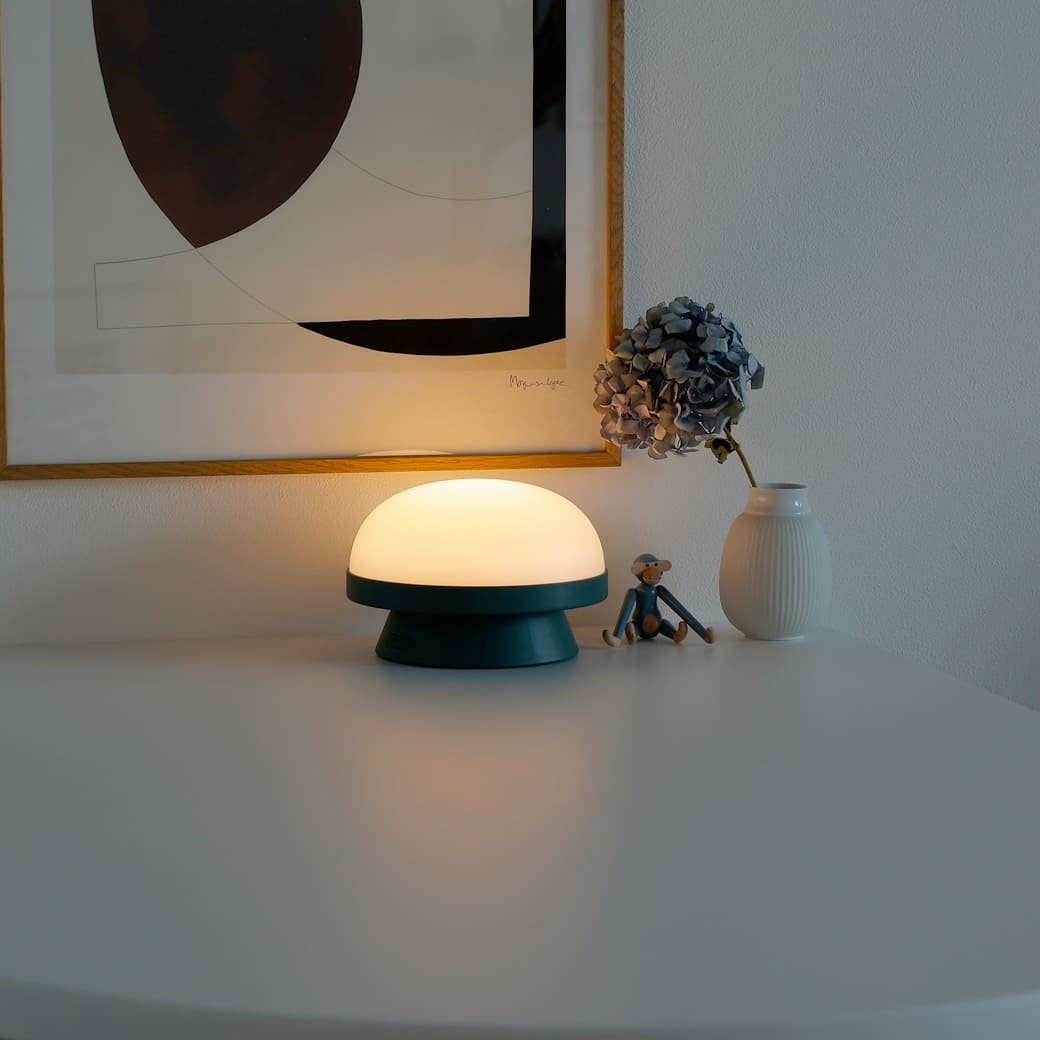 m-tl06 ROSENDAHL / ソフトスポット ソーラー ドッツ (フォレストグリーン) 直径21cm