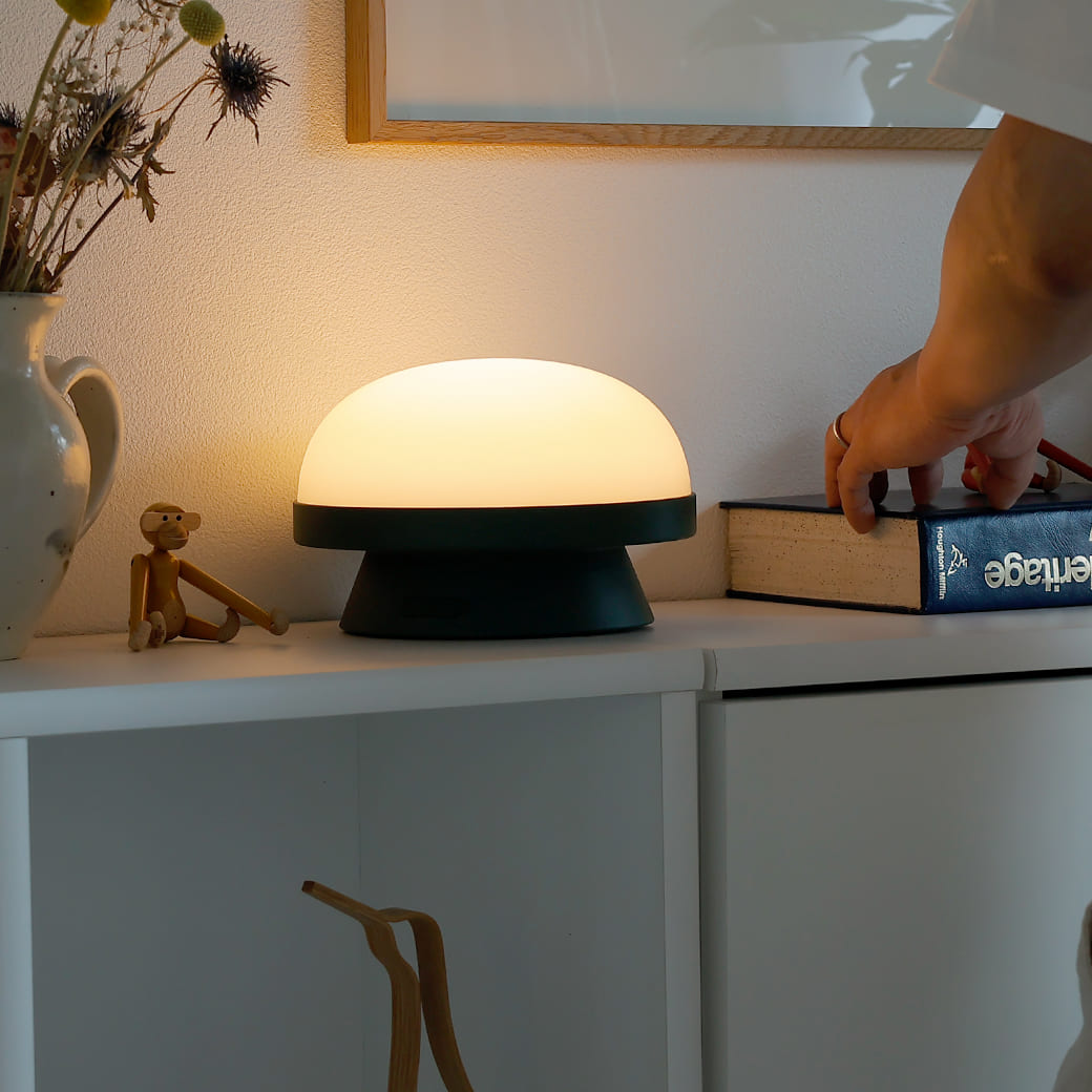 m-tl06 ROSENDAHL / ソフトスポット ソーラー ドッツ (フォレストグリーン) 直径21cm