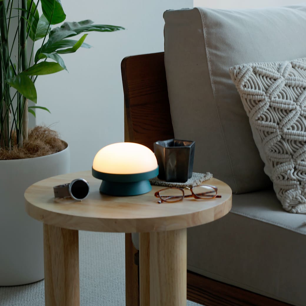 m-tl05 ROSENDAHL / ソフトスポット ソーラー ドッツ (フォレストグリーン) 直径14.5cm