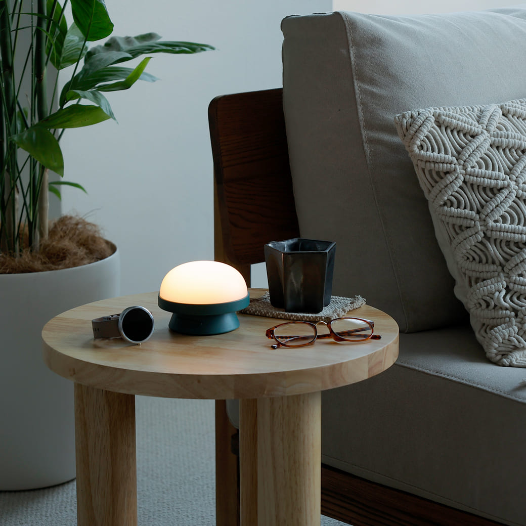 m-tl04 ROSENDAHL / ソフトスポット ソーラー ドッツ (フォレストグリーン) 直径11.5cm