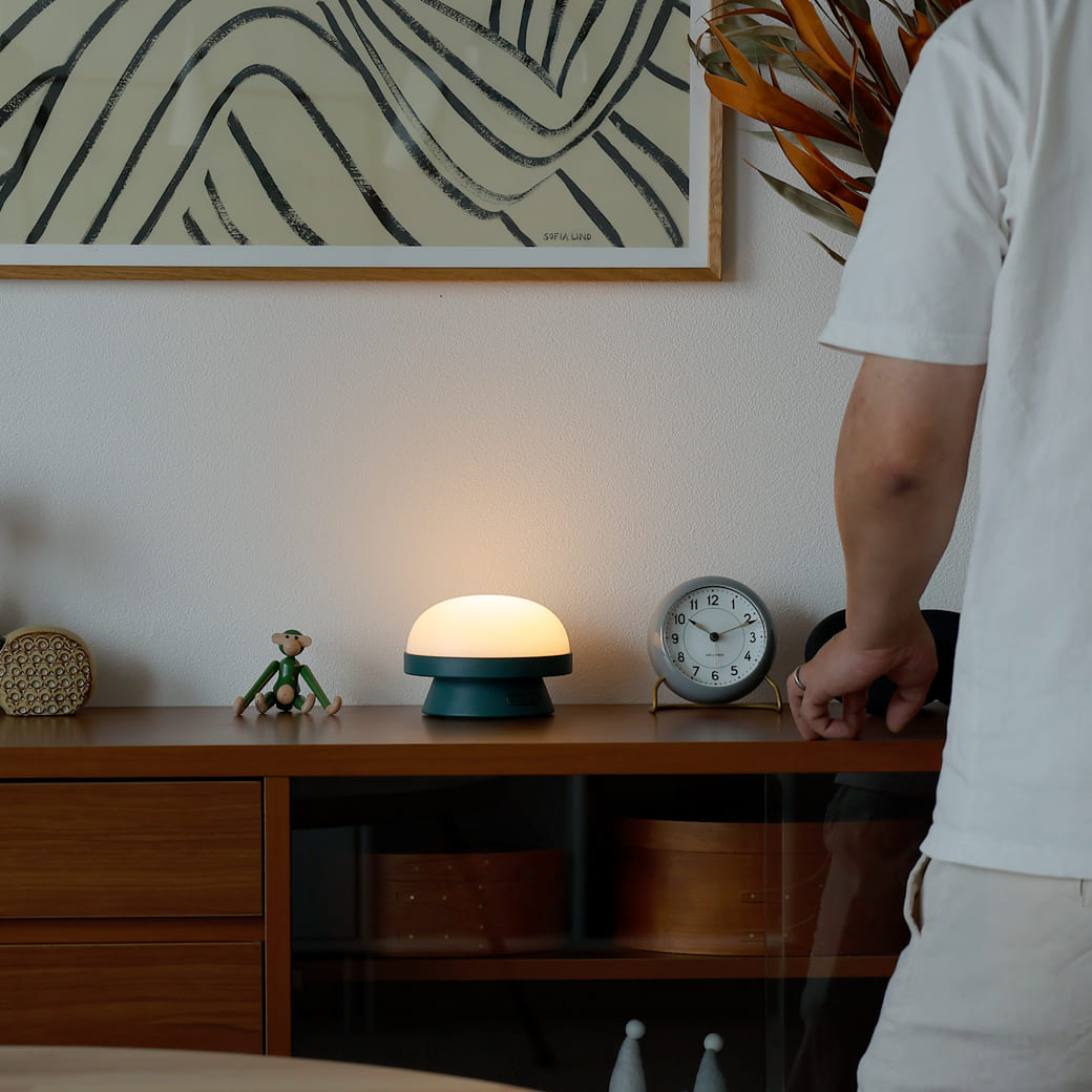 m-tl06 ROSENDAHL / ソフトスポット ソーラー ドッツ (フォレストグリーン) 直径21cm