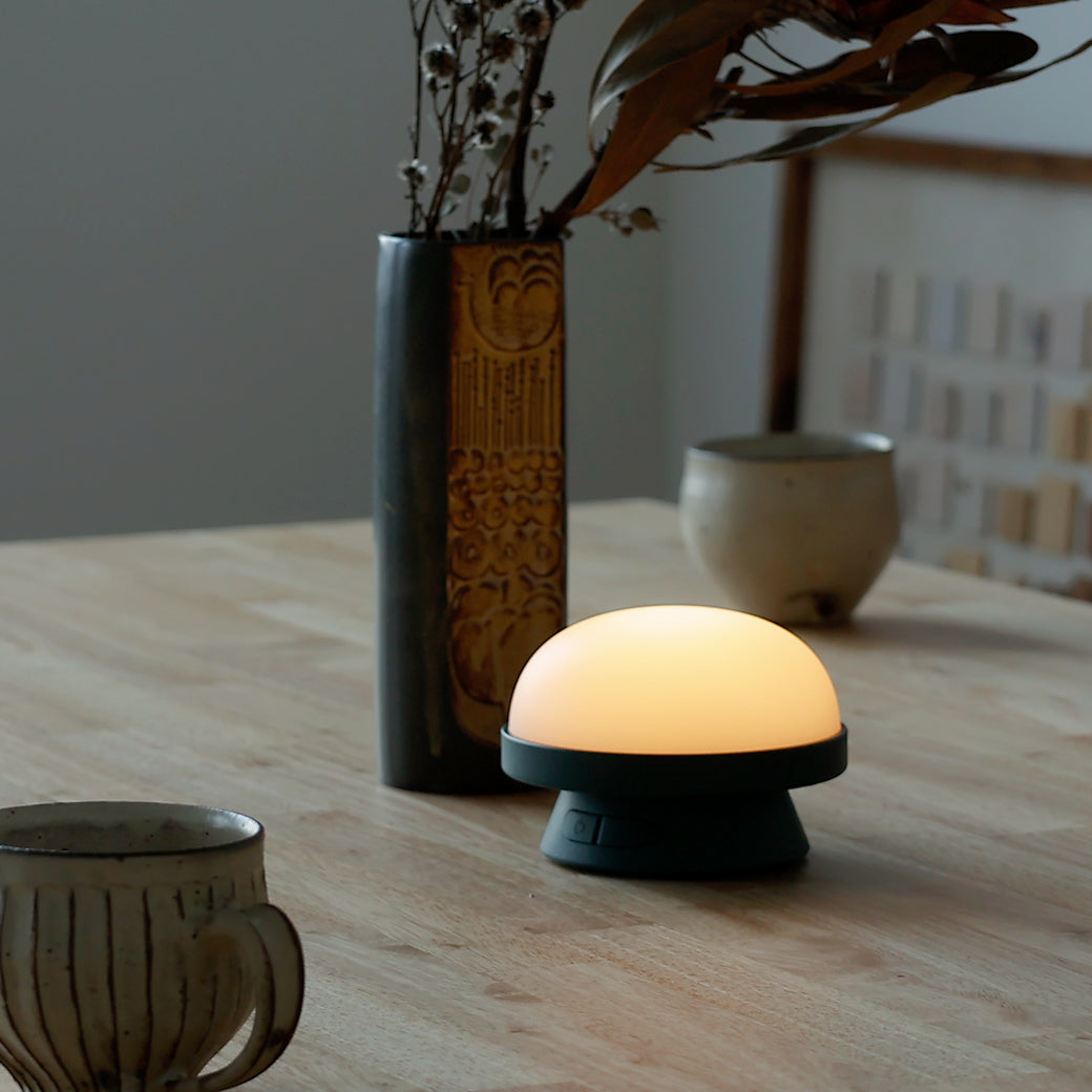 m-tl04 ROSENDAHL / ソフトスポット ソーラー ドッツ (フォレストグリーン) 直径11.5cm