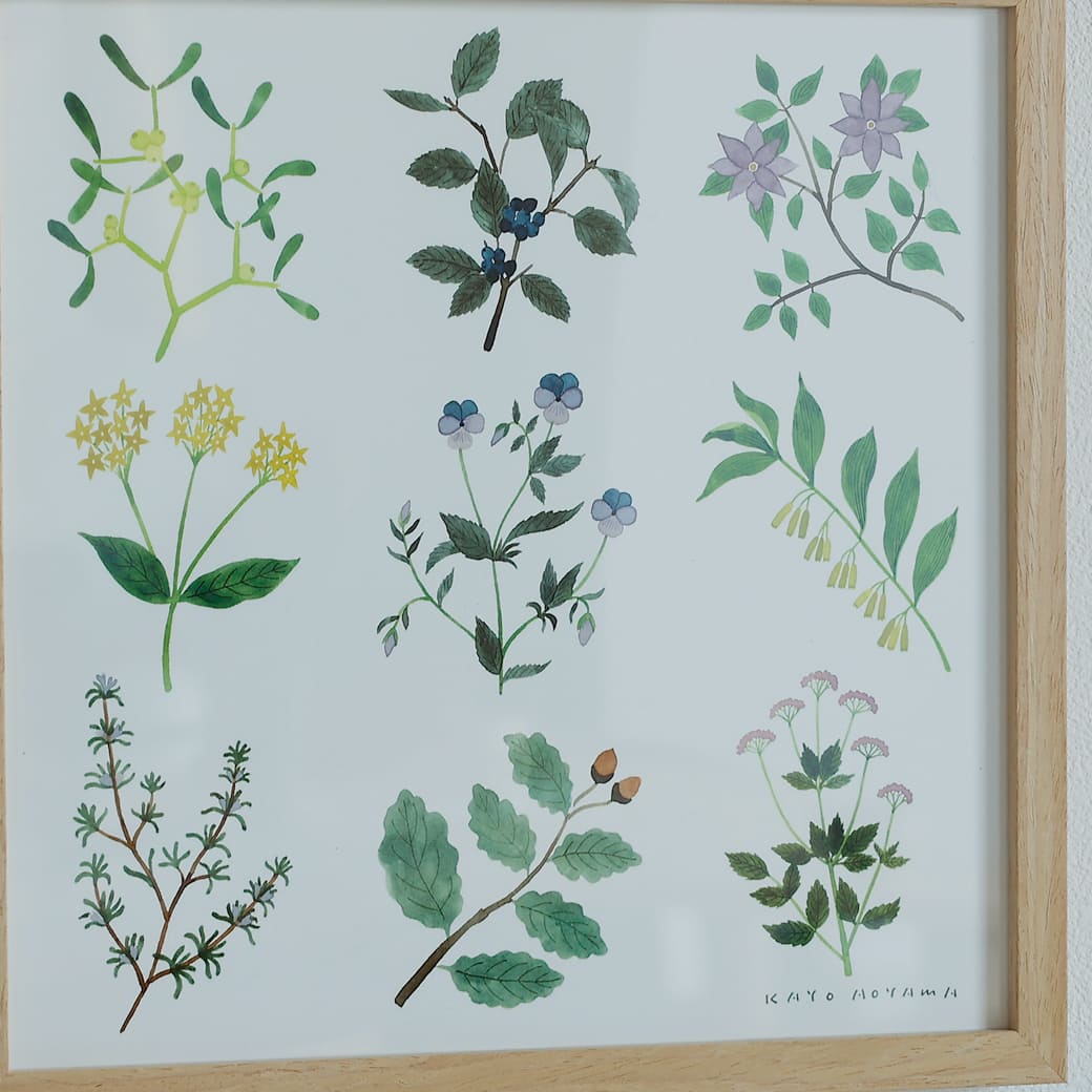 m-po14 アートポスター a good view PLANTS フレームセット 青山佳世