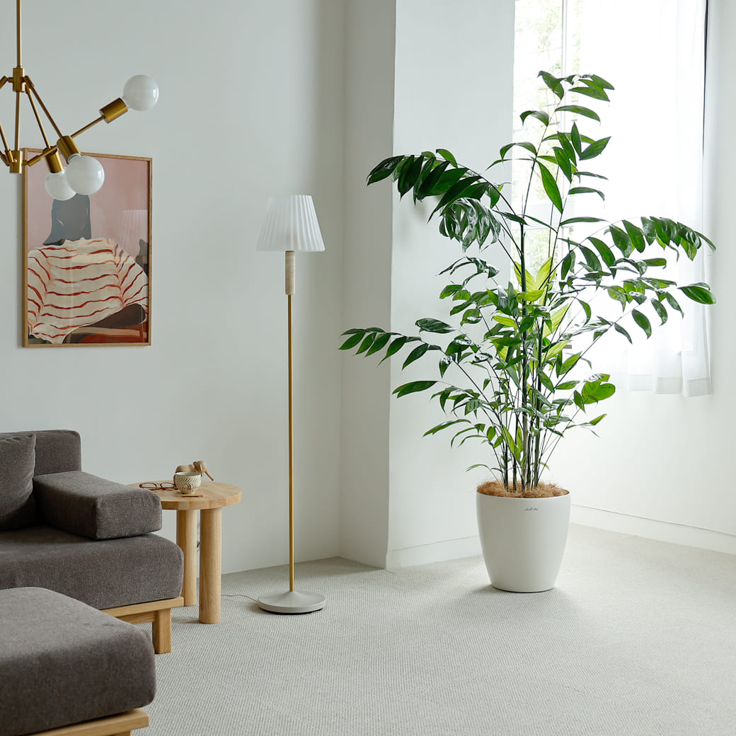 m-fl15 フロアーライト　Mieto(ミエト)