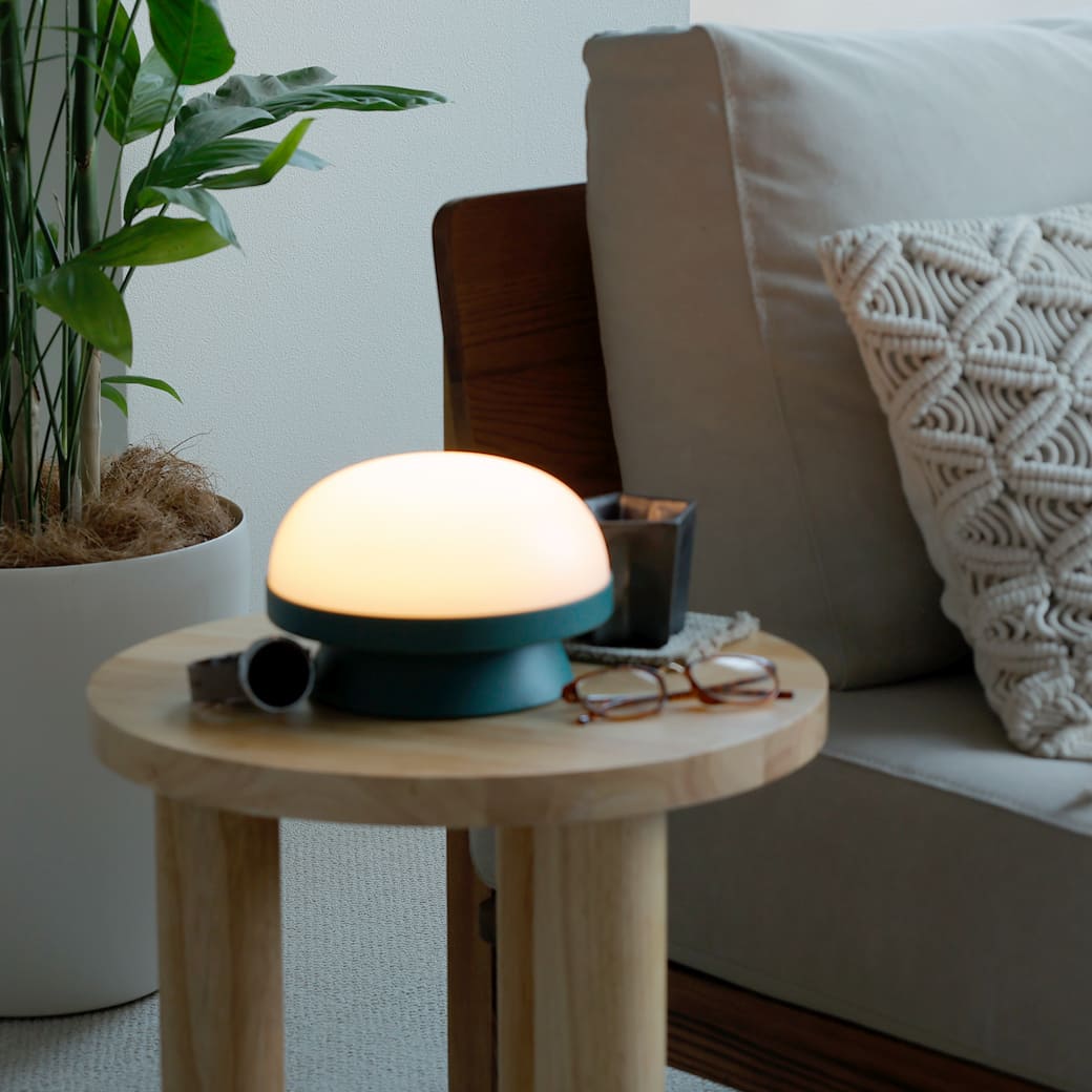 m-tl06 ROSENDAHL / ソフトスポット ソーラー ドッツ (フォレスト